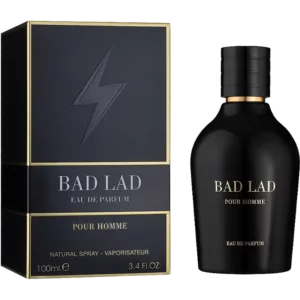 خرید ادو پرفیوم مردانه فراگرنس ورد مدل Bad Lad - پخش طنین