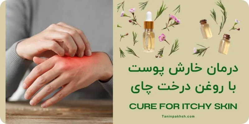 درمان خارش پوست با روغن درخت چای tea tree oil